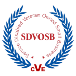 SDVOSB400